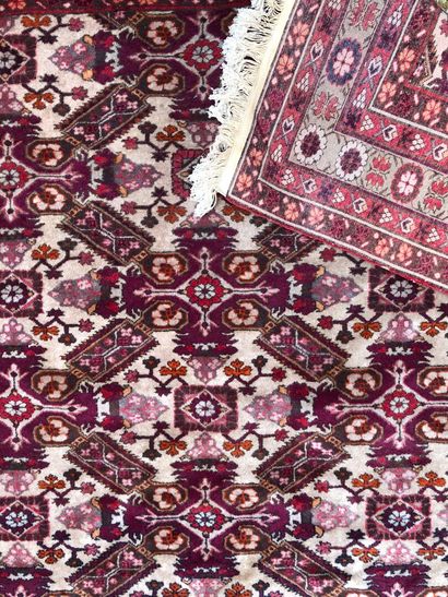 BOUKHARA - PAKISTAN :
Wool carpet with beige,...