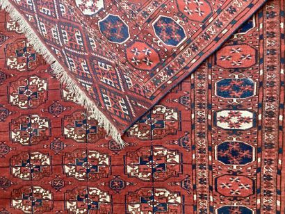 KILIM BOUKHARA in wool with woven red background....