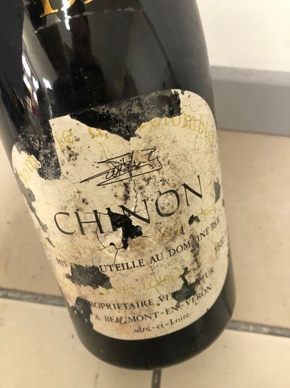 1 Magnum Chinon, domaine du Colombier, 1993
Étiquette...