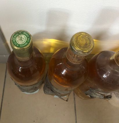 9 bouteilles clos saint robert
x4 1962, 
x3...