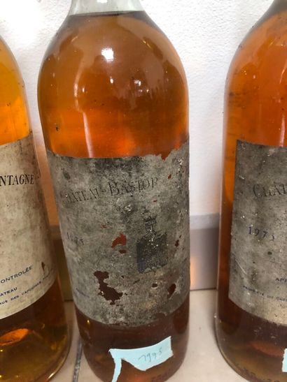5 bouteilles Bastor Lamontagne
x2 1975, 
x1...