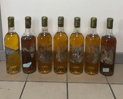 7 bouteilles clos saint robert, 