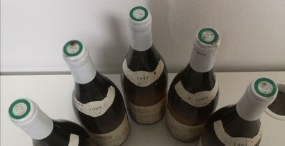 5 Bottles MACON - C. COLBERT Neg. 1995
Stained...