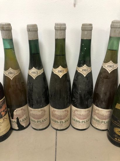 17 Bottles MISCELLANEOUS WINES FOR SALE AS...