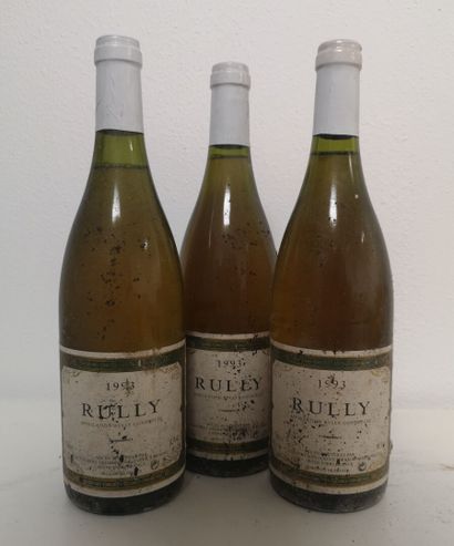 3 Bottles RULLY - C. COLBERT Neg. 1993
Stained...