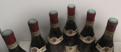 6 Bottles NUITS SAINT GEORGES Clos Saint...