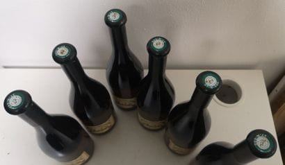 6 Bottles CHINON Blanc Les Chanteaux - Couly-Dutheil...