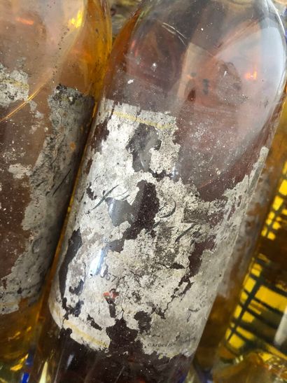 7 bouteilles clos saint robert, 