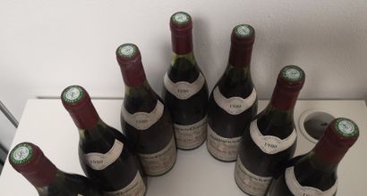 7 Bottles SANTENAY Clos Roussot - Château...