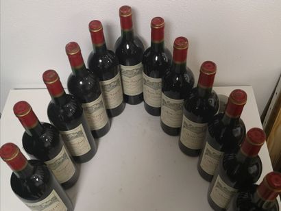 12 Bottles Château CALON SEGUR - 3rd Gcc...