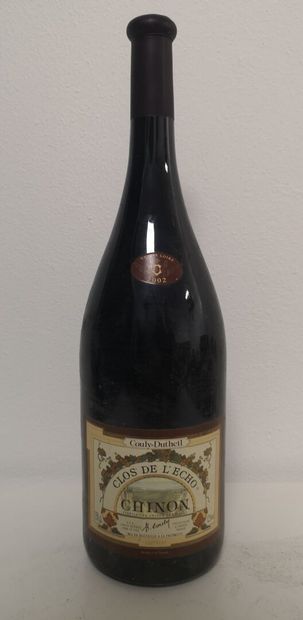 1 Magnum CHINON Clos de l'Echo - Couly-Dutheil...