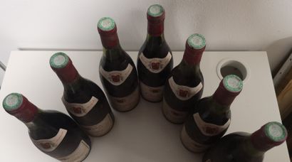 7 Bottles CORNAS - Côtte Vergne fils 1979
Stained,...