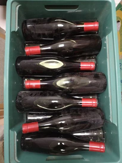 14 Bottles BOURGOGNES DIVERS - Domaine Louis...