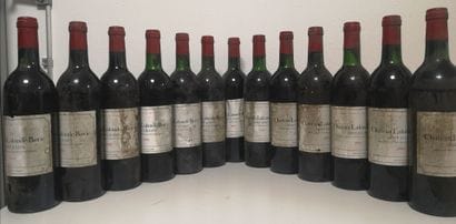 12 Bottles Château LALANDE BORIE - Saint...