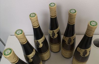 6 Bottles PINOT GRIS Cuvée LAURENCE - Domaine...
