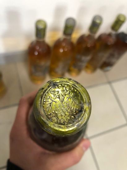 7 bouteilles clos saint robert, 