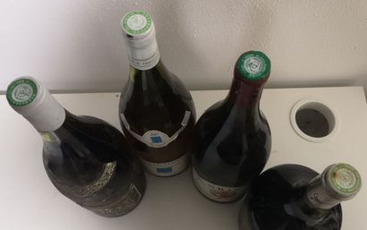 4 Magnums VINS DIVERS FRANCE FOR SALE AS...