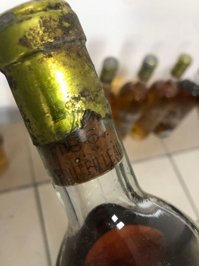 7 bouteilles clos saint robert, 