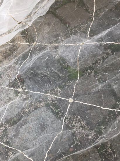 Pair of silk curtains (?)
H. 240 cm