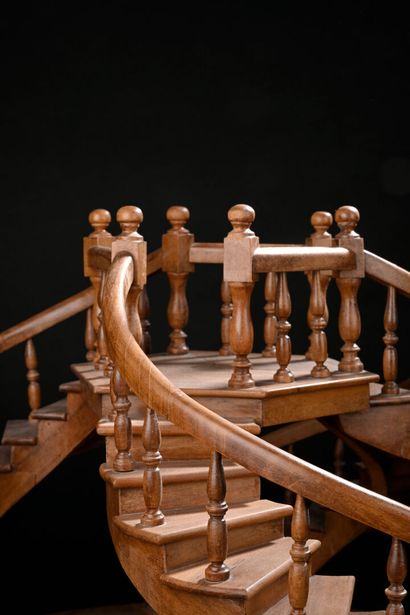 Rare companion staircase with triple evolution...