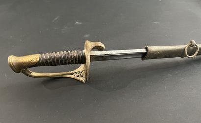 Infantry officer's saber, model 1855. Horn...