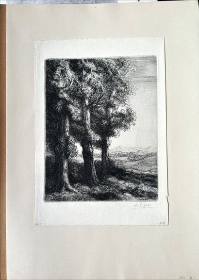 Alphonse LEGROS
L'Incendie du hameau, eau-forte,...