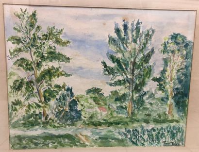 Paul FAVE (XXe siècle) 
Paysage aux arbres.
Aquarelle...