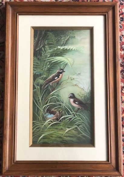 19th century FRENCH SCHOOL
Nest and birds.
Dry...