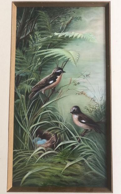 19th century FRENCH SCHOOL
Nest and birds.
Dry...