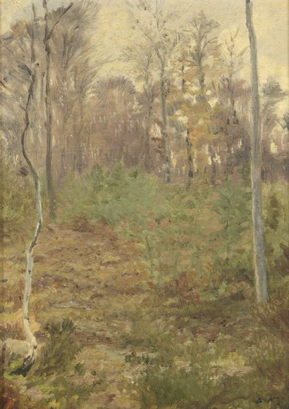Paul TAVERNIER (1852-1943). 
Undergrowth....