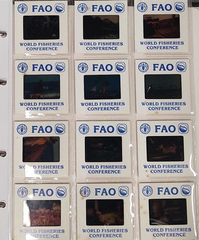 FAO (Food and Agriculture Organization) -...