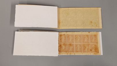 Complete booklets N° 111-C1 (Blanc 5 c) +...