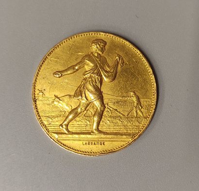 Gold medal from the 1877 Oranaise Exhibition...