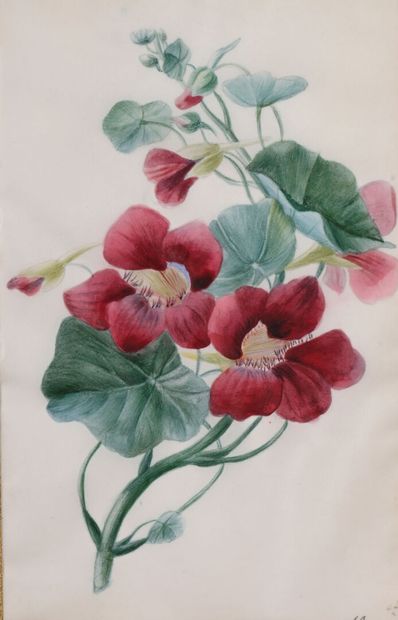 French school of the 19th century
A pair...