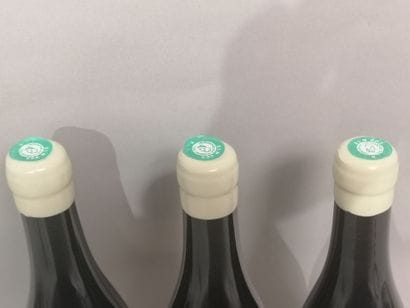 3 bottles PULIGNY MONTRACHET 1er cru La GARENNE...