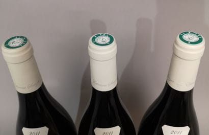 3 bottles PULIGNY MONTRACHET 1er cru Les...