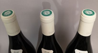 3 bottles PULIGNY MONTRACHET 1er cru Les...