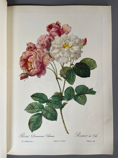 Pierre-Joseph REDOUTE (1759-1840).
Roses.
Facsimile...