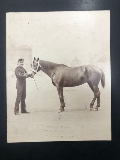 [Militaria]. LOT of two 19th century photographs...
