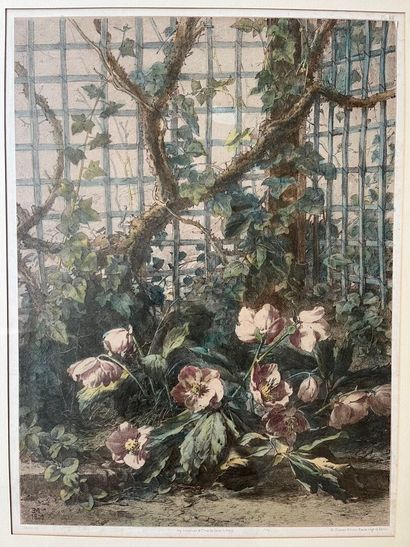 D'après E. MULLER.
Gravure en couleurs imprimée...