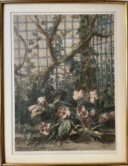 D'après E. MULLER.
Gravure en couleurs imprimée...