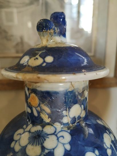 CHINA, 19th century
Two pairs of blue-white...