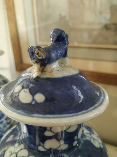 CHINA, 19th century
Two pairs of blue-white...
