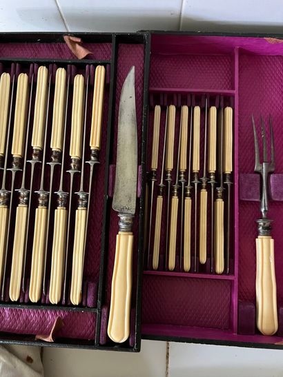 Steel and horn carving set in gift box.