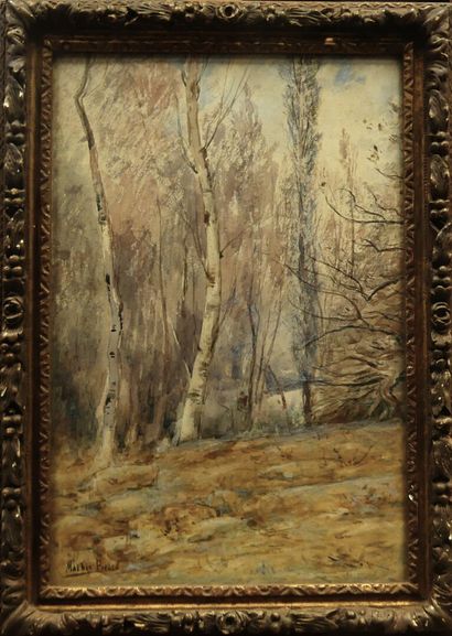 Mathis PICARD : watercolor 
figure in a birch...
