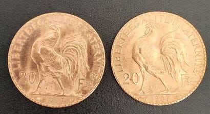 Two 20 franc gold Marianne 1907 coins