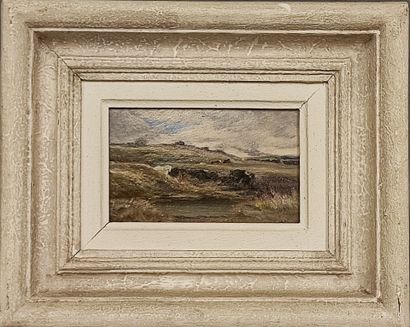 Horse by the Pond
Oil on isorel 
Signature...