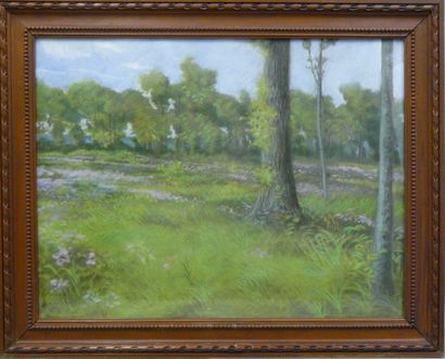 L. D : a set of three watercolors
Landscape...