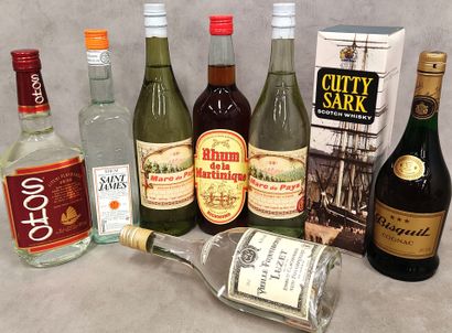 Lot of eight bottles of alcohol:
Two bottles...