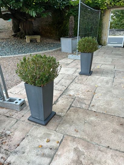 LOT of six large outdoor vases and two small...